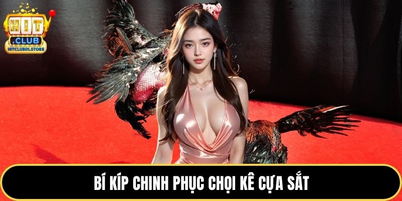 Bí kíp chinh phục chọi kê cựa sắt