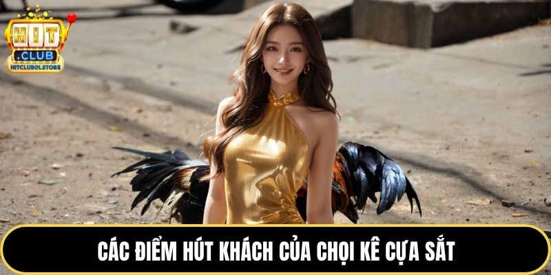 Các điểm hút khách của chọi kê cựa sắt
