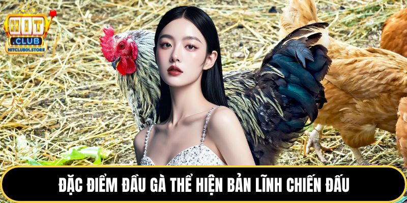Đặc điểm đầu gà thể hiện bản lĩnh chiến đấu