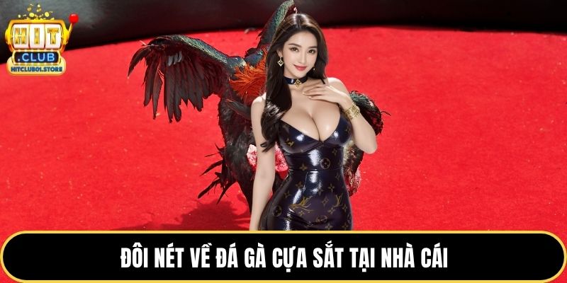Đôi nét về đá gà cựa sắt tại nhà cái