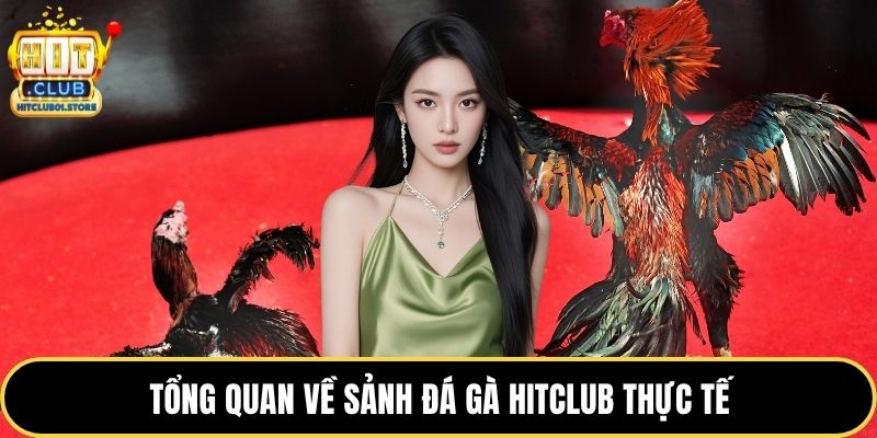 Tổng quan về sảnh đá gà HITCLUB thực tế